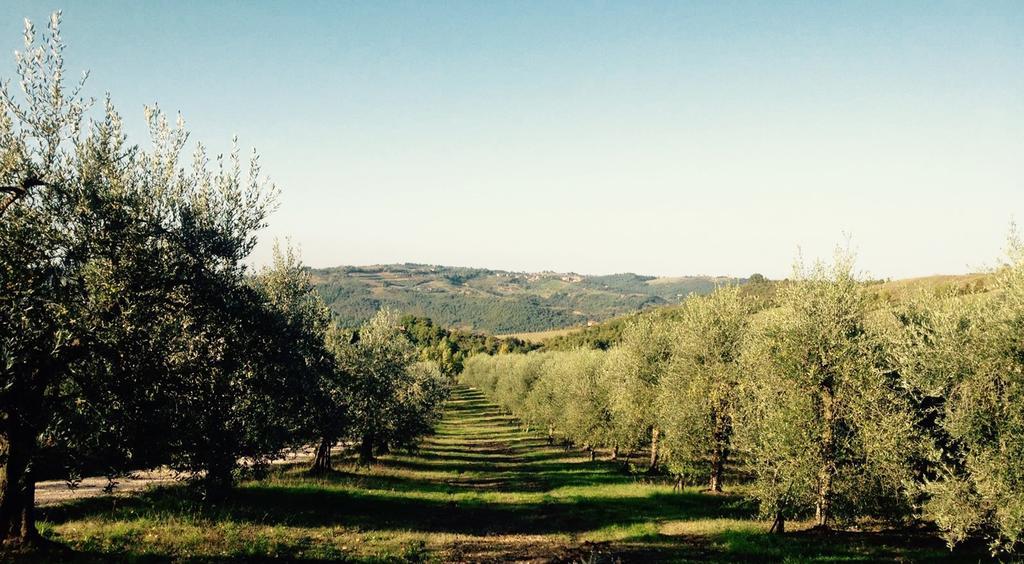 Podere Le Corone Villa Monte Castello di Vibio Exterior photo
